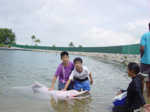 pic1.jpg