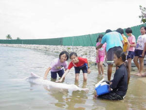 pic2.jpg