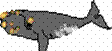 This is a right whale